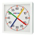 Peweta with Crossed Second Hands Pool Clock Master Clock, Mains-operated, 230 V