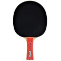 Donic Schildkröt "Waldner 600" Table Tennis Bat