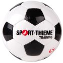 Sport-Thieme "Training" Football Size 5