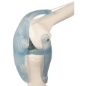 Erler Zimmer "Knee Joint with Ligaments" Skeleton Model