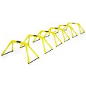Sport-Thieme "Multifunctional" Agility Ladder