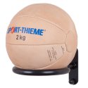 Sport-Thieme Medicine Ball Wall Bracket