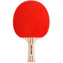Sport-Thieme "Beginner" Table Tennis Bat Beginner+