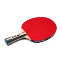 Sport-Thieme "Advanced" Table Tennis Bat Advanced