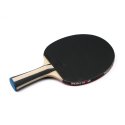 Sport-Thieme "Advanced" Table Tennis Bat Advanced