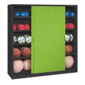 Type 4 Ball Cabinet (195×150×50cm) Clown Green (RAL 110 80 60), Anthracite (RAL 7021), Keyed to differ