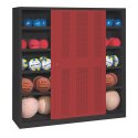 C+P HxWxD 195x120x50 cm, with Sheet Metal Sliding Doors (type 4) Ball Cabinet Ruby red (RAL 3003), Anthracite (RAL 7021), Keyed to differ