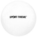 Sport-Thieme "1-Star 40+" Table Tennis Balls White