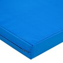 Sport-Thieme "Pro light" Lightweight Gymnastics Mat 200x100x6 cm, Blue