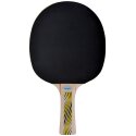 Donic Schildkröt "Legends 500 FSC" Table Tennis Bat