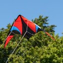 Schildkröt "Stunt Kite 140" Stunt Kite