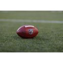 Wilson NFL "Game Ball The Duke" American Football