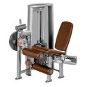 Sport-Thieme "OV" Leg Curl/Extension Machine Without perforated-sheet cover