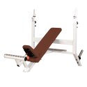 Sport-Thieme "SQ" Incline Bench For 30-mm weight plates