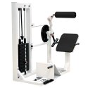 Sport-Thieme "SQ"  Back Extension Machine Without perforated-sheet cover