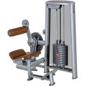 Sport-Thieme "OV"  Back Extension Machine With black perforated-sheet cover