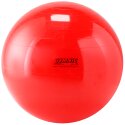Gymnic "Universal" Exercise Ball 55 cm in diameter