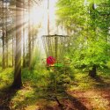 DiscGolf24 Tournament Disc Golf Basket