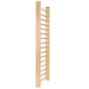 Sport-Thieme Wall Bars