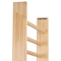 Sport-Thieme Wall Bars