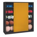 Type 4 Ball Cabinet (195×150×50cm) Golden Yellow (RAL 1004), Anthracite (RAL 7021), Keyed alike