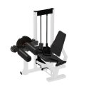 Sport-Thieme "SQ" Leg Curl/Extension Machine Without perforated-sheet cover