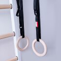 BenchK Fitness-System "521W + A204" Wall Bars