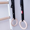 BenchK Fitness-System "522W + A204" Wall Bars