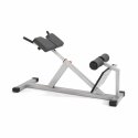 Sport-Thieme "MED" Back Extension Bench Silver