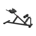 Sport-Thieme "MED" Back Extension Bench Black