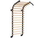 Sport-Thieme "X" Wall Bars