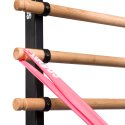 Sport-Thieme "X" Wall Bars