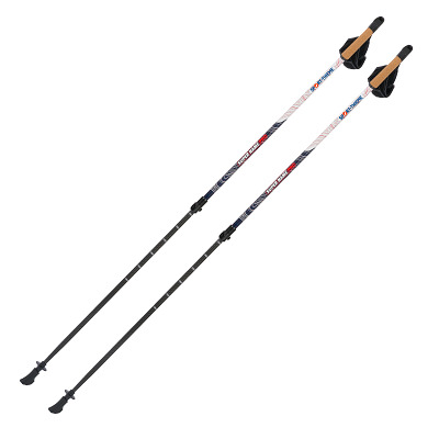Sport-Thieme “Lock Up Pro” Nordic Walking Poles