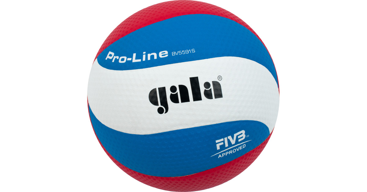 luisteraar het is nutteloos picknick Gala "Pro Line" Volleyball buy at Sport-Thieme.com