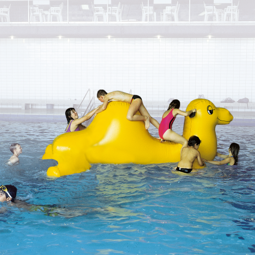 Airkraft "Kamel Nelly" Water Park Inflatable