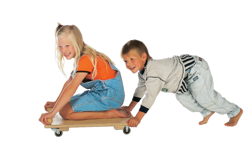 Pedalo Pedalo and Sport-Thieme Roller Board Handgrips