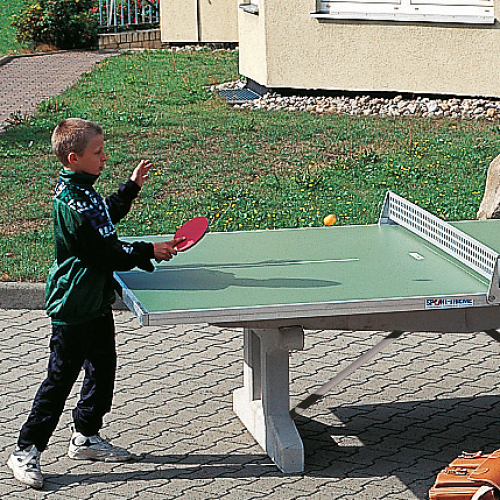 Sport-Thieme for table tennis table "Premium" Table Tennis Half Table Top