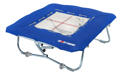 Sport-Thieme "Premium" with 6-mm Trampoline Bed Minitramp