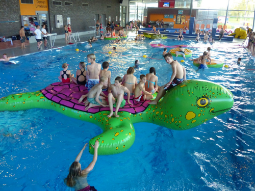 Airkraft "Schildkröte" Water Park Inflatable