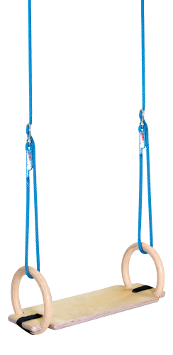 Sport-Thieme Indoor Ring Swing Set