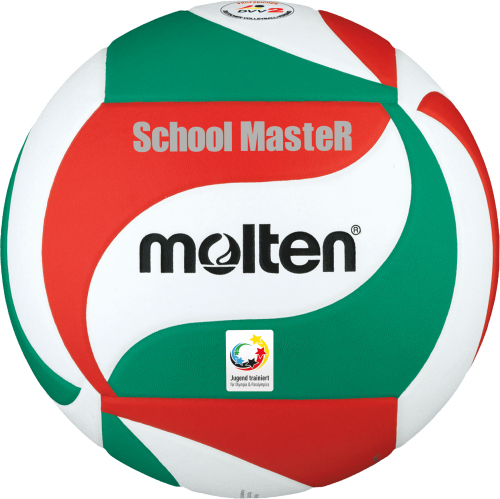 Molten "School Master" Volleyball
