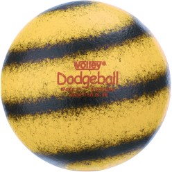 Volley Dodgeball