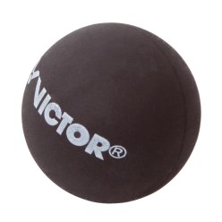  Victor for Beachball Ball