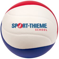  Sport-Thieme "2021 School" Volleyball