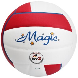  Sport-Thieme "Magic" Volleyball