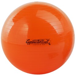 Ledragomma "Original Pezziball" Exercise Ball 65 cm in diameter