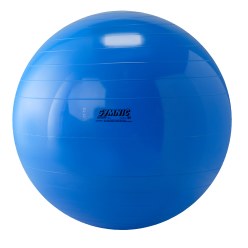 Gymnic Exercise Ball 45 cm in diameter