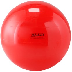 Gymnic Exercise Ball 95 cm in diameter