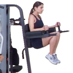 Leg Raise and Dips Attachment for “G-9S”