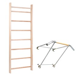 Sport-Thieme "Pro" Pull-Up Bar and Wall Bars